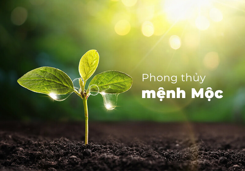 Giải mã ngũ hành tương sinh, tương khắc trong phong thủy